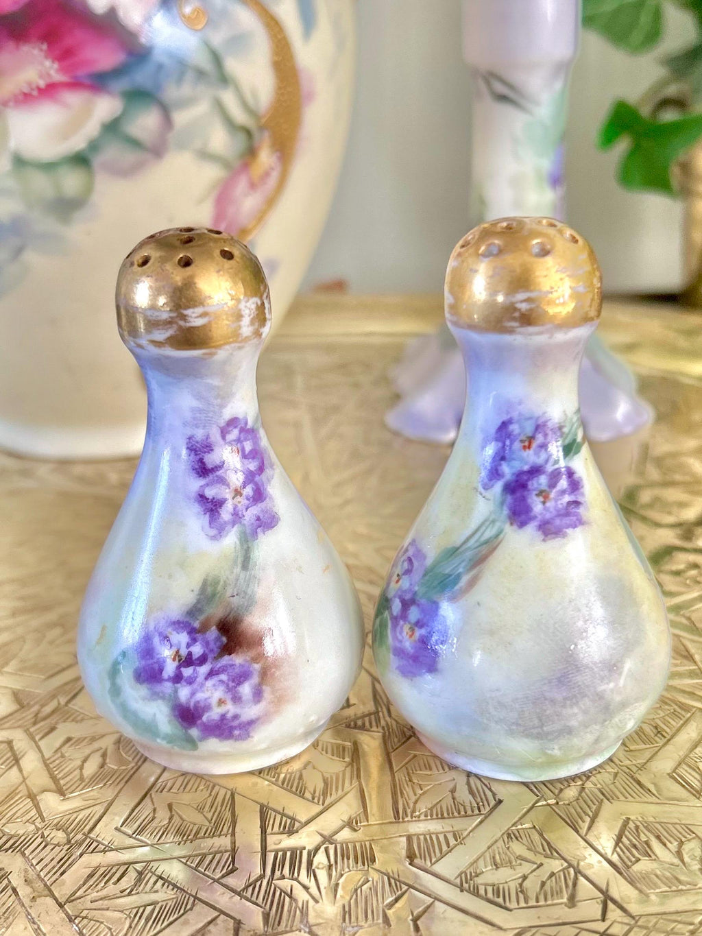 Antique Porcelain Hand-Painted Floral Salt Pepper Shakers - Choose from various pairs