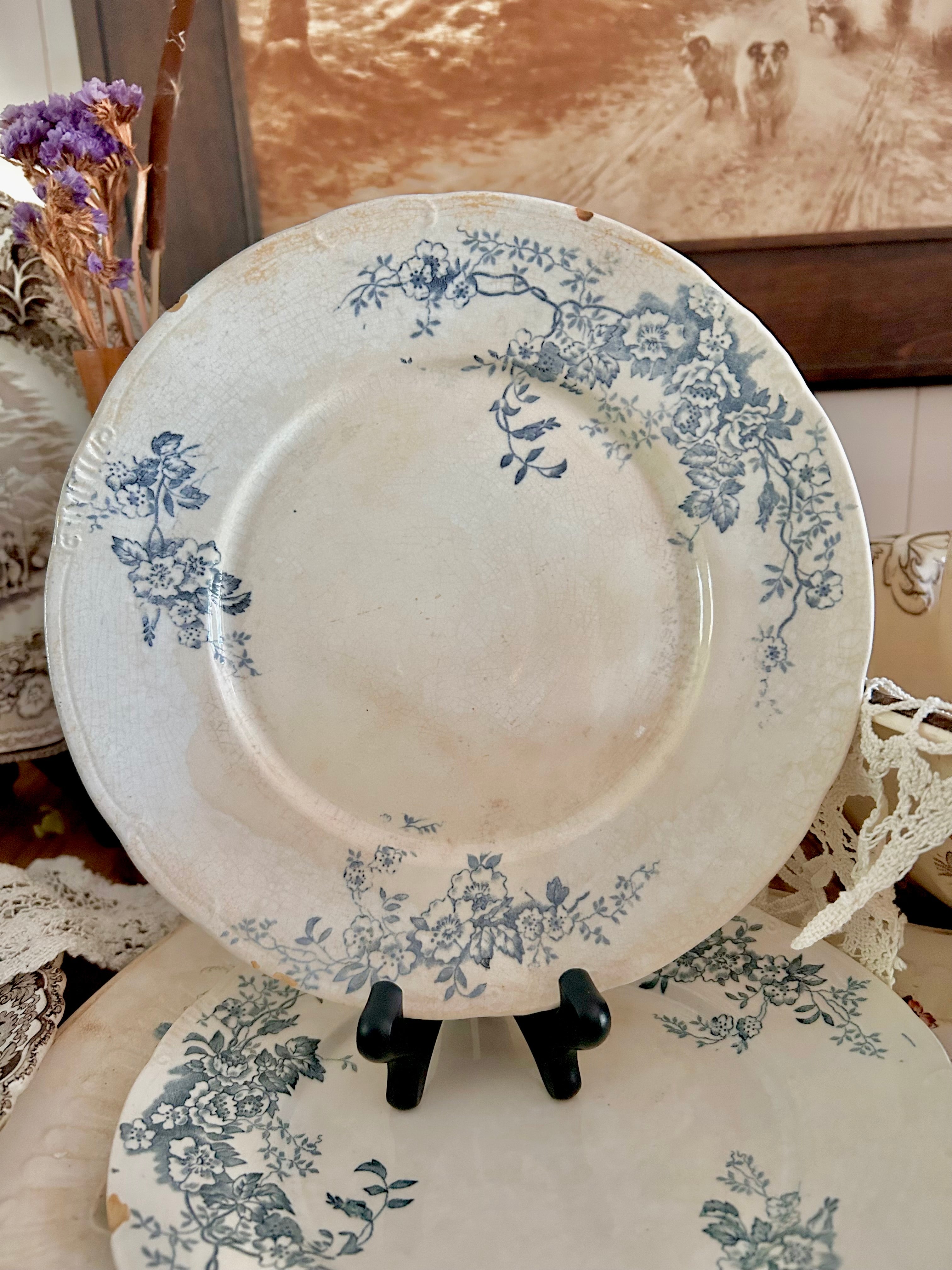 Antique Stained Worn Ironstone Transferware Dishes