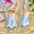 Antique Porcelain Hand-Painted Floral Salt Pepper Shakers - Choose from various pairs