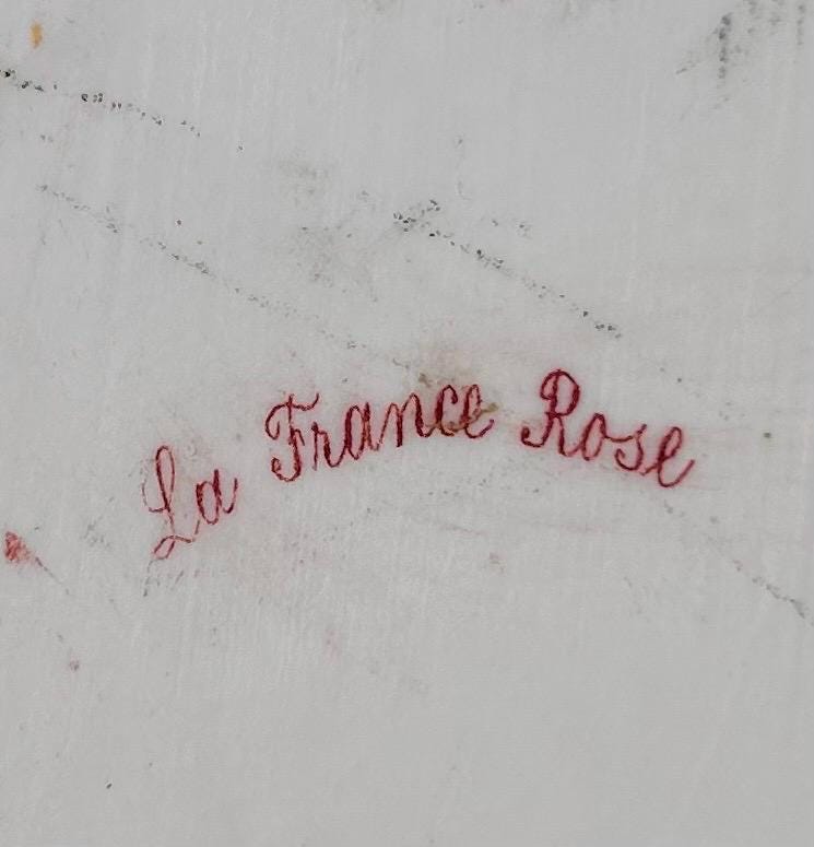 Vintage Transferware Porcelain Plate with Pink Roses