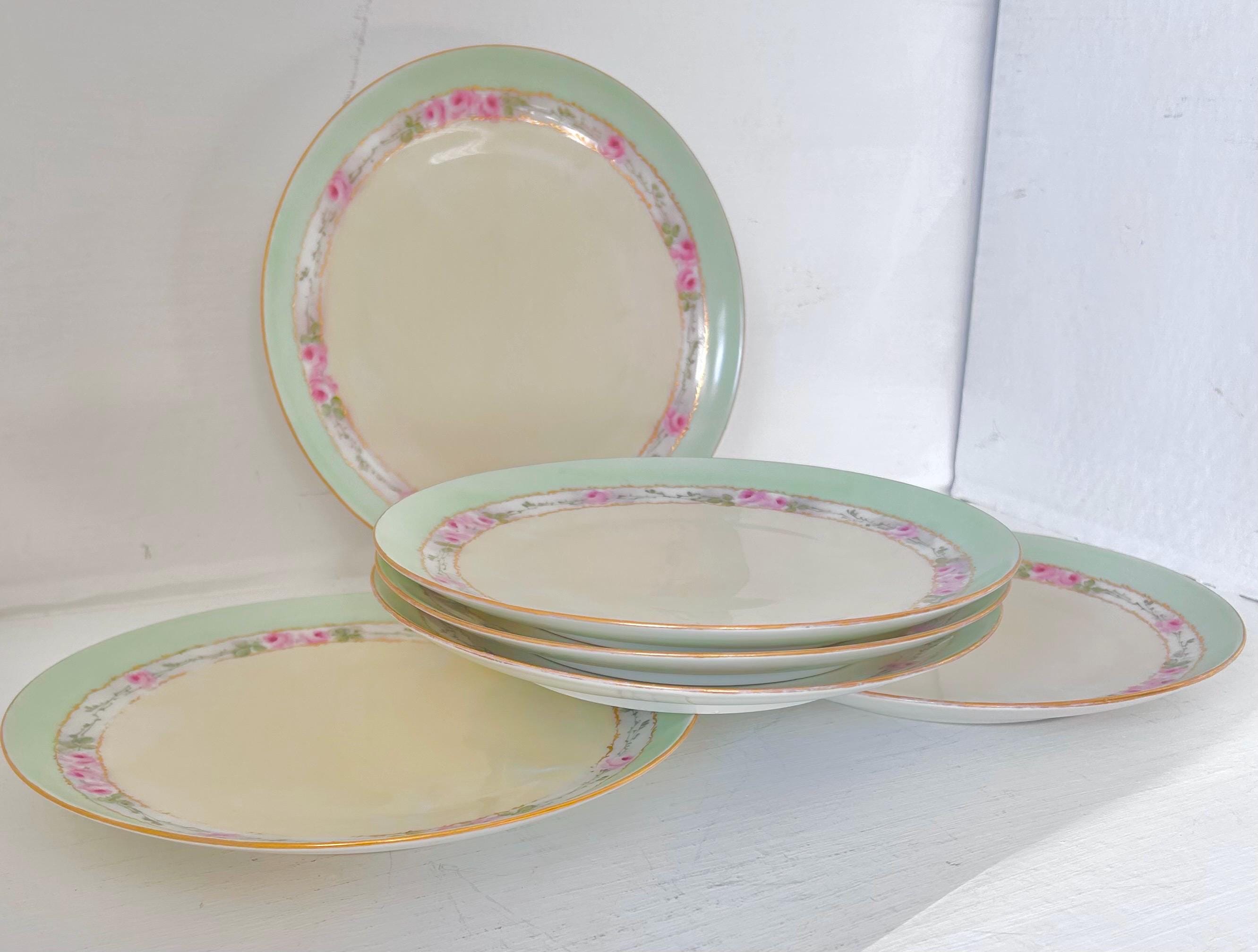 Antique Hand Painted Porcelain Plates Set of 6 Moritz Zdekauer Austria