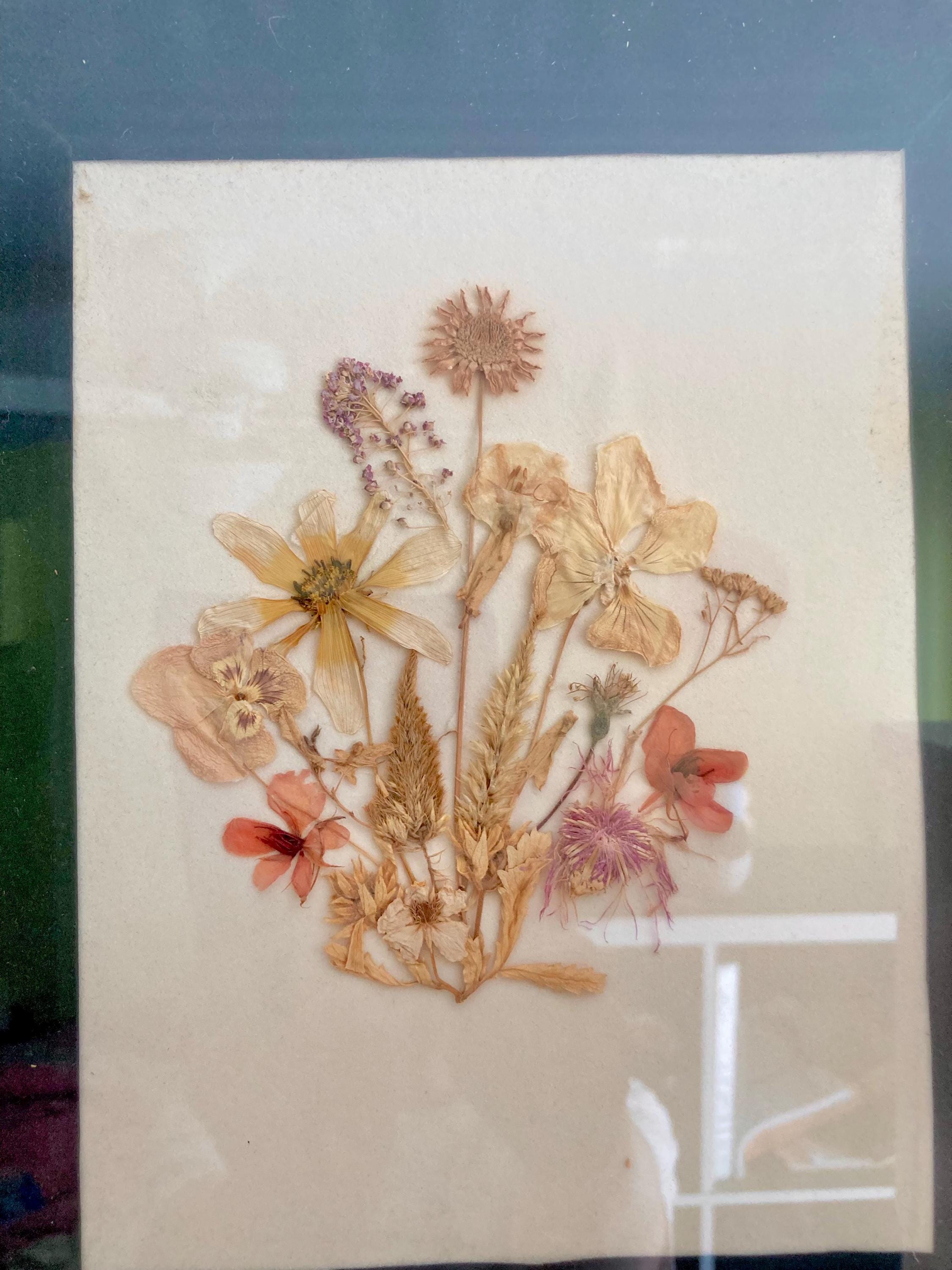 Vintage Pressed Flower Artwork: Handmade Framed Wildflower Bouquet