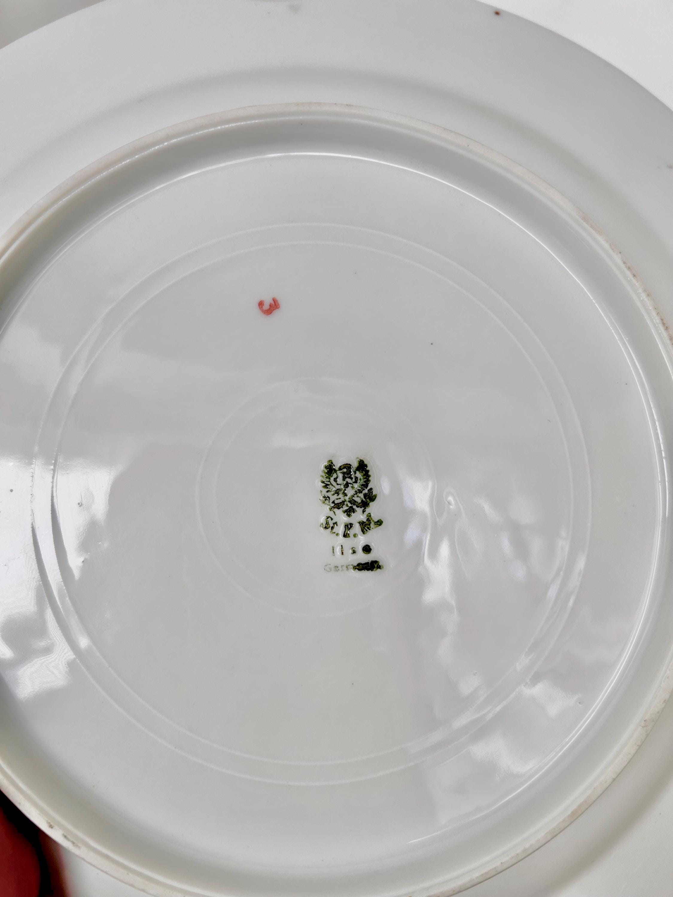 Vintage Porcelain Platter Transferware by Striegauer Porzellanmanufaktur, Germany