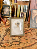 Antique Framed Portrait
