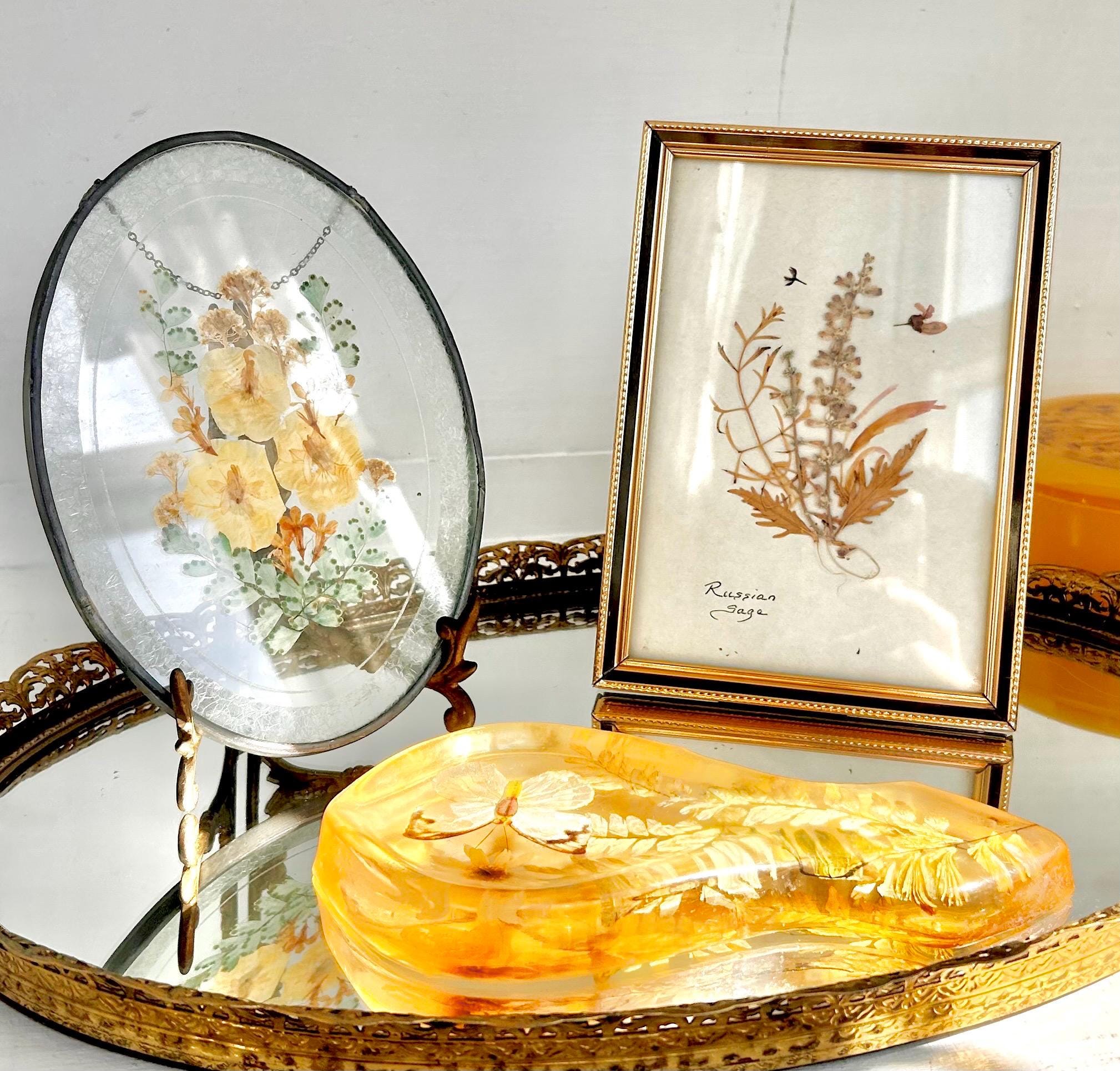 Vintage Pressed Flower Decor - Choose from Framed Art, Resin Containers