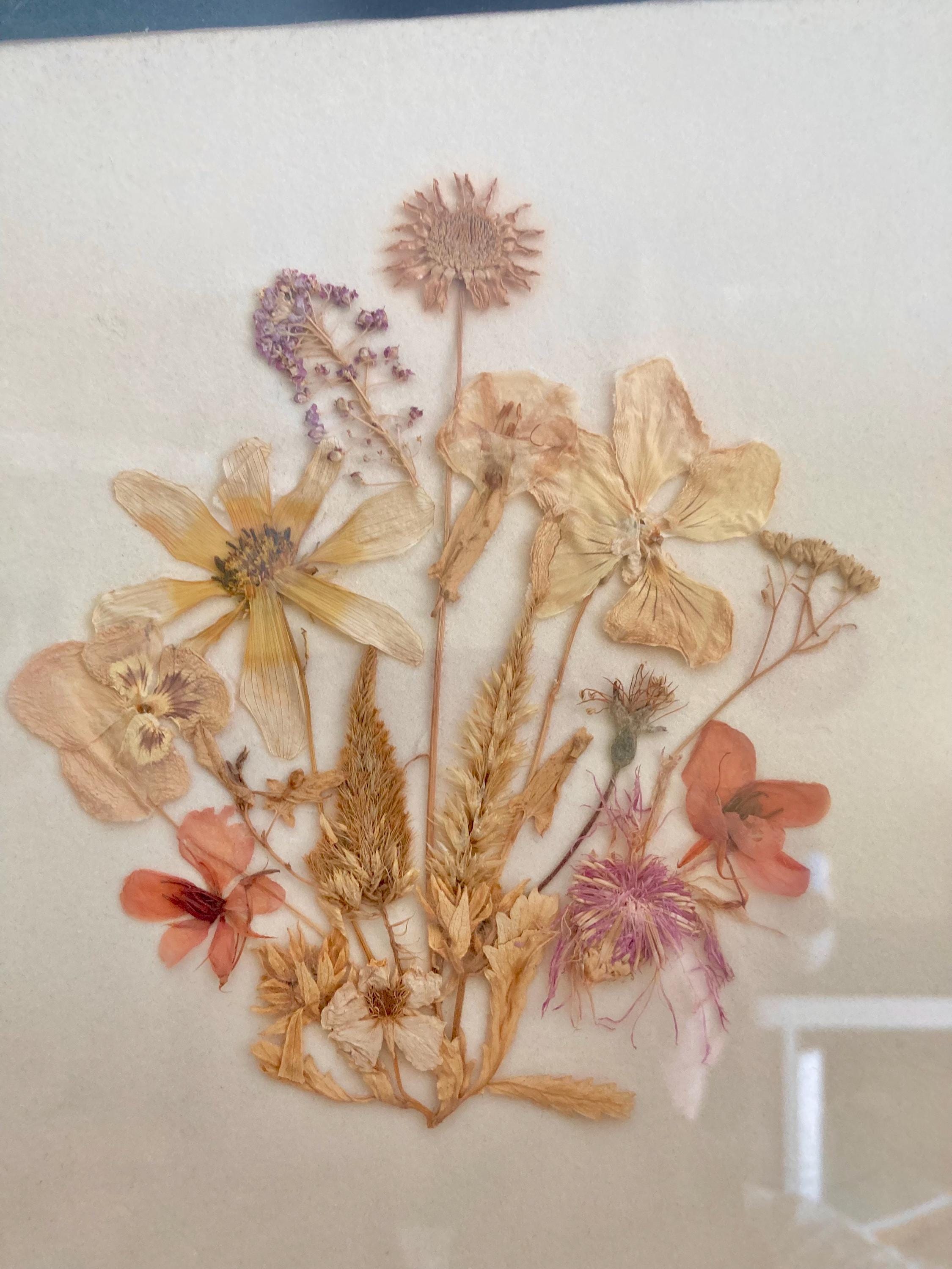 Vintage Pressed Flower Artwork: Handmade Framed Wildflower Bouquet