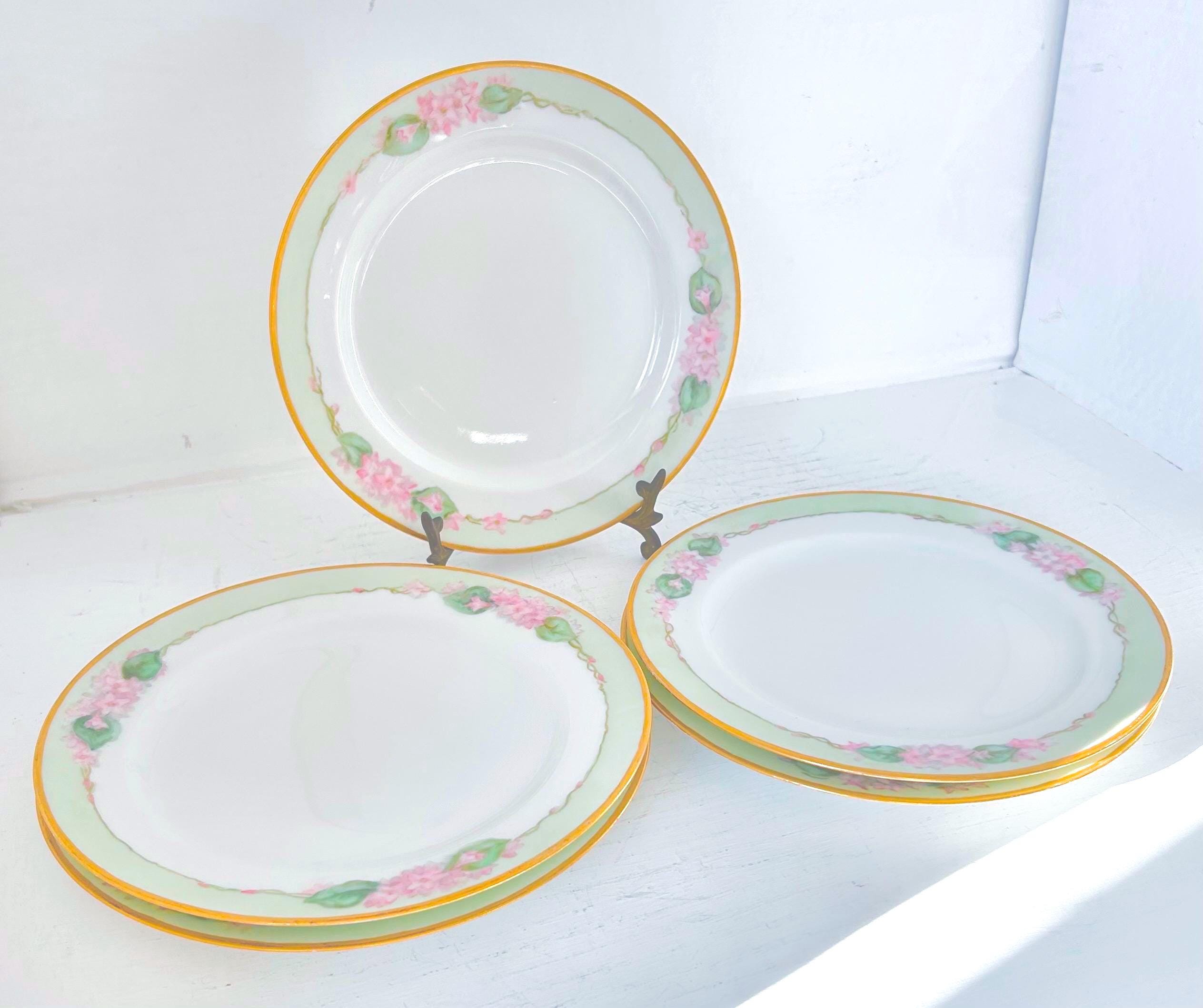 Antique Haviland Limoges Hand-painted Porcelain Plates Set of 5