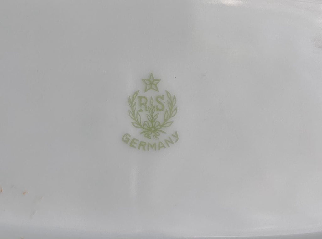 Vintage R.S. Germany Porcelain Serving Bowl: Hand-Painted Pink Roses