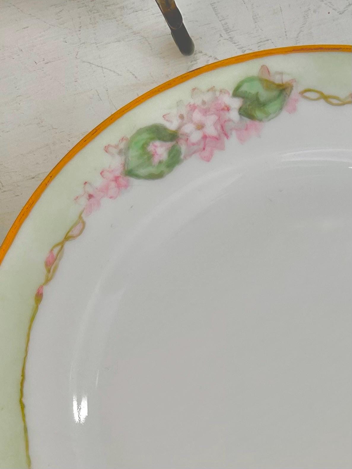 Antique Haviland Limoges Hand-painted Porcelain Plates Set of 5