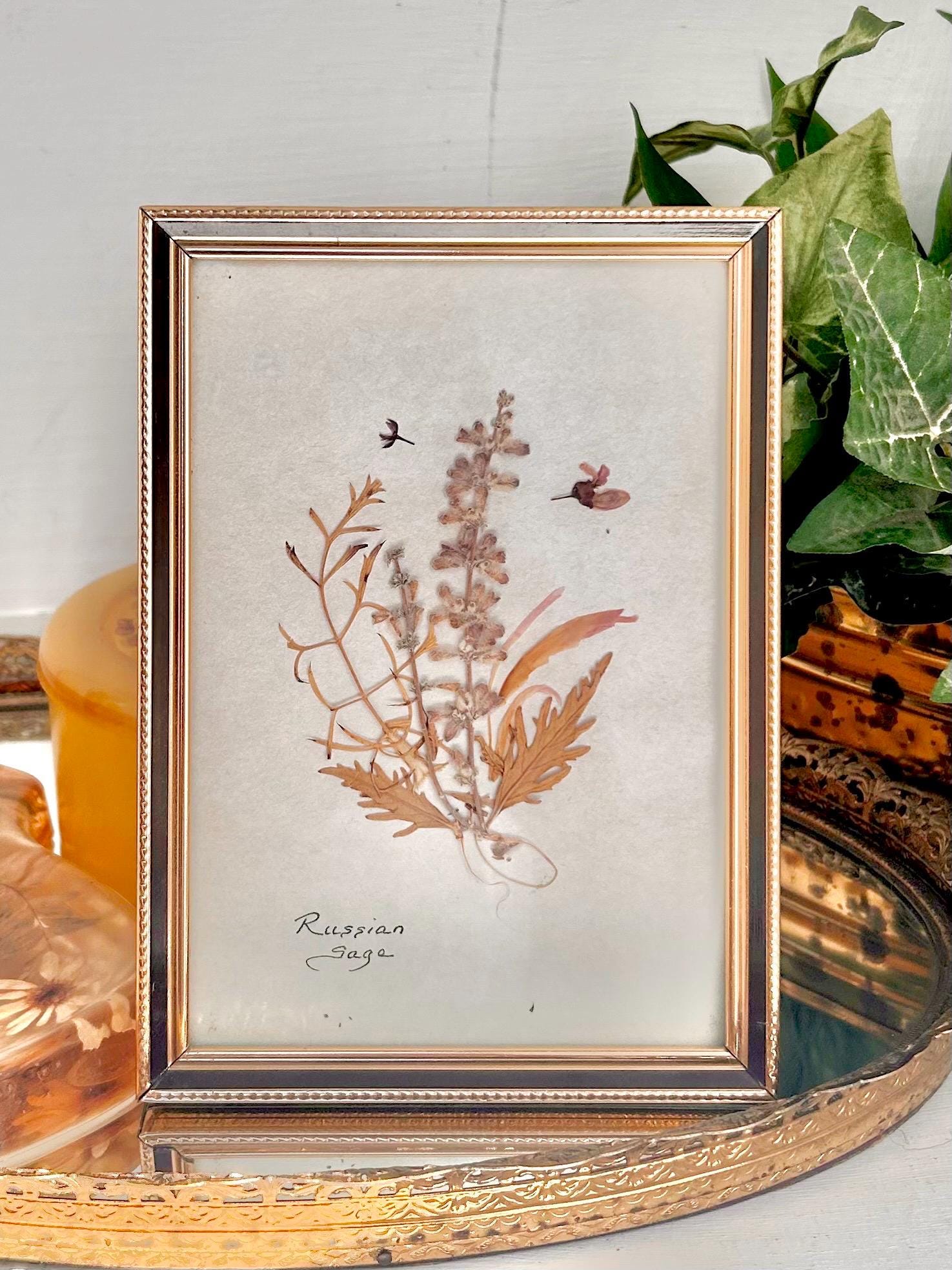 Vintage Pressed Flower Decor - Choose from Framed Art, Resin Containers
