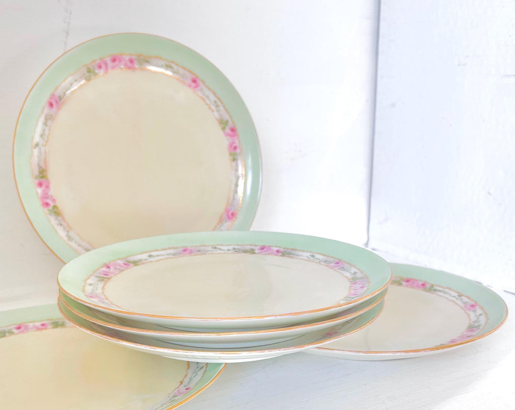 Antique Hand Painted Porcelain Plates Set of 6 Moritz Zdekauer Austria