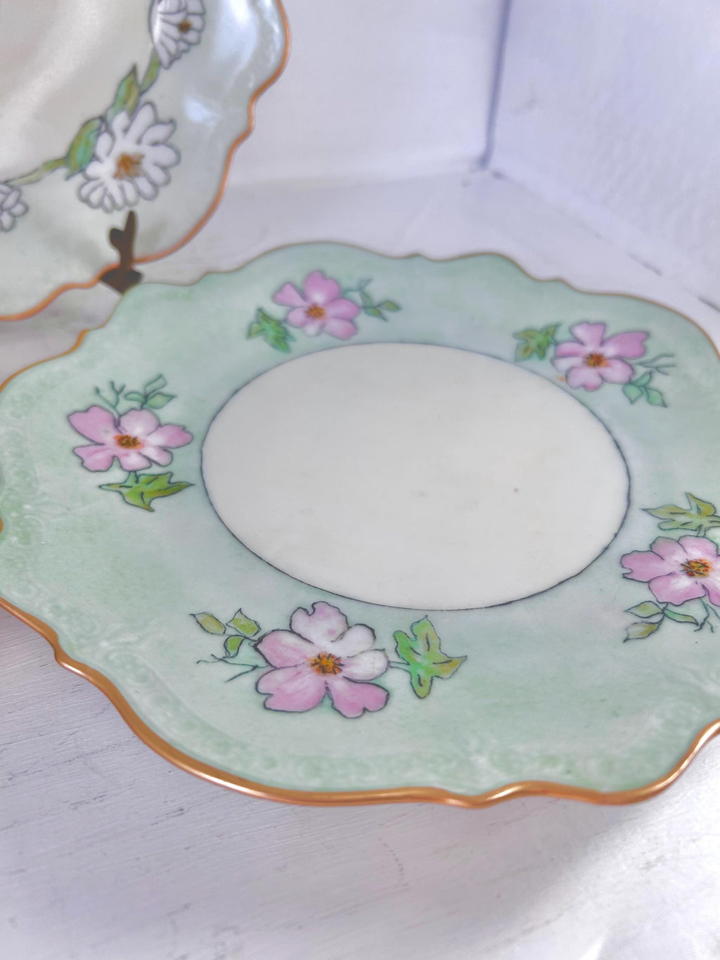 Vintage Handpainted C.T. Altwasser Porcelain Plates Set of 3
