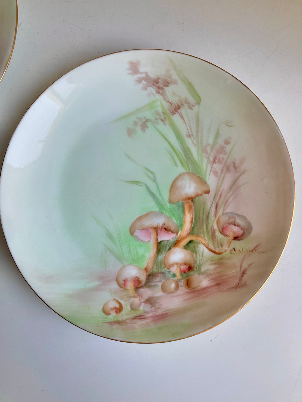 Antique Hand Painted Mushroom Plate: Gold Trim Dessert Plate, 7"