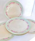 Antique Hand Painted Porcelain Plates Set of 6 Moritz Zdekauer Austria
